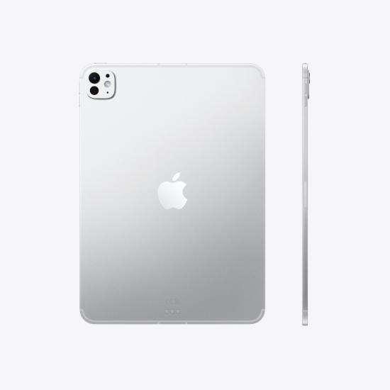 APPLEIPADPROM513INC256GBSILVER_2